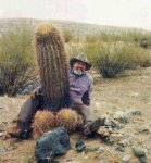Cactus-798154.jpg