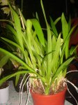 Dsc02570.jpg