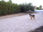 DSCN2473.jpg