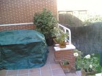 terraza-camelia.jpg