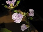 Copia de IMG_4576.jpg