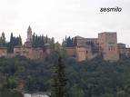 alhambra 4.jpg
