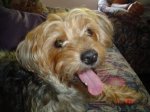 DSC00086.JPG