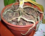 Imagen 045.jpg