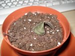 DSC00851.JPG