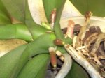 DSCN3303.JPG