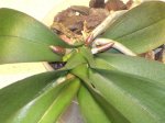 DSCN3309.JPG