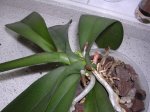 DSCN3310.JPG