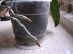 DSCN3311.JPG
