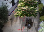22dsc01976lb8.jpg