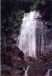 cascada_yunque.jpg