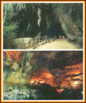 cuevas de camuy.gif