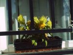 IMAG0113.jpg