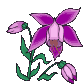 datflor2.gif