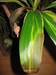 IMG_3242peq.jpg