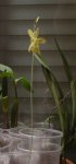 DSC01437.jpg