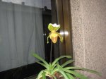 IMG_4672.jpg