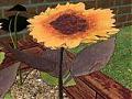 Helianthus