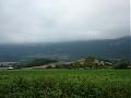 AVequenovuela