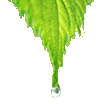 ECOPLAG