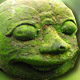 biobit