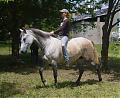 equinus