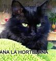Ana la hortelana