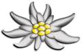 Aridane