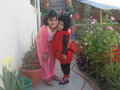 Lindy