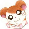 minusin