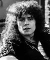 M.bolan