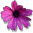 Mabo