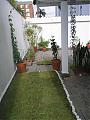 Sonia-Jardim