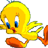 Canary
