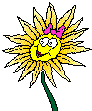 angiosperma