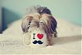 Plumm