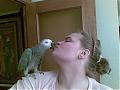 jfrovi