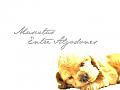 MascotasEntreAlgodones