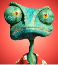 Rango Magnificus