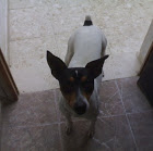 jhonky
