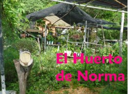 El huerto de Norma