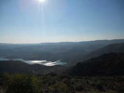 Trebolillo