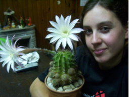 julietacactus