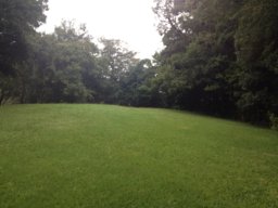 francisvilla10