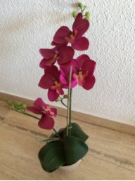 Fralli