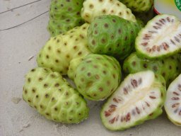 Ivanbf