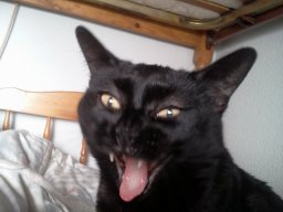 jopse666