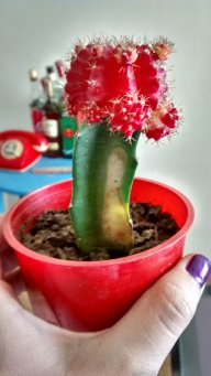 buby011