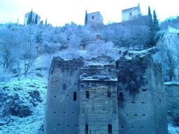lombrigran