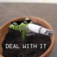 MrCacahuate